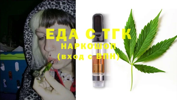 индика Магас