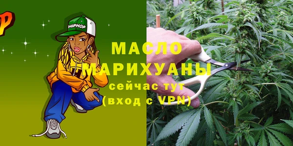 индика Магас