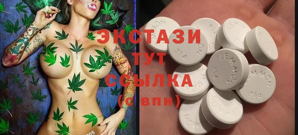 индика Магас